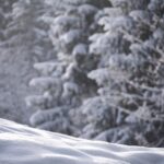 Top 5 Trading Strategies to Master Market Volatility This Fall