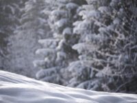Top 5 Trading Strategies to Master Market Volatility This Fall
